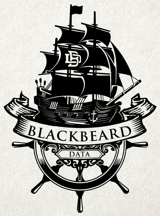 BlackBeard Data logo