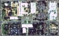 Color Image