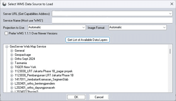 Connecting to a online web map in Global Mapper