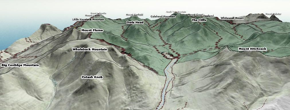 Texture displayed in a 3D map in Global Mapper. 