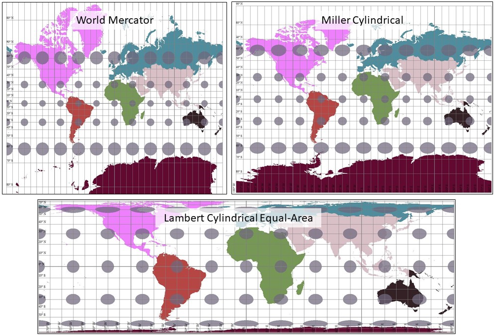 Cylindrical Projection shape distortion 