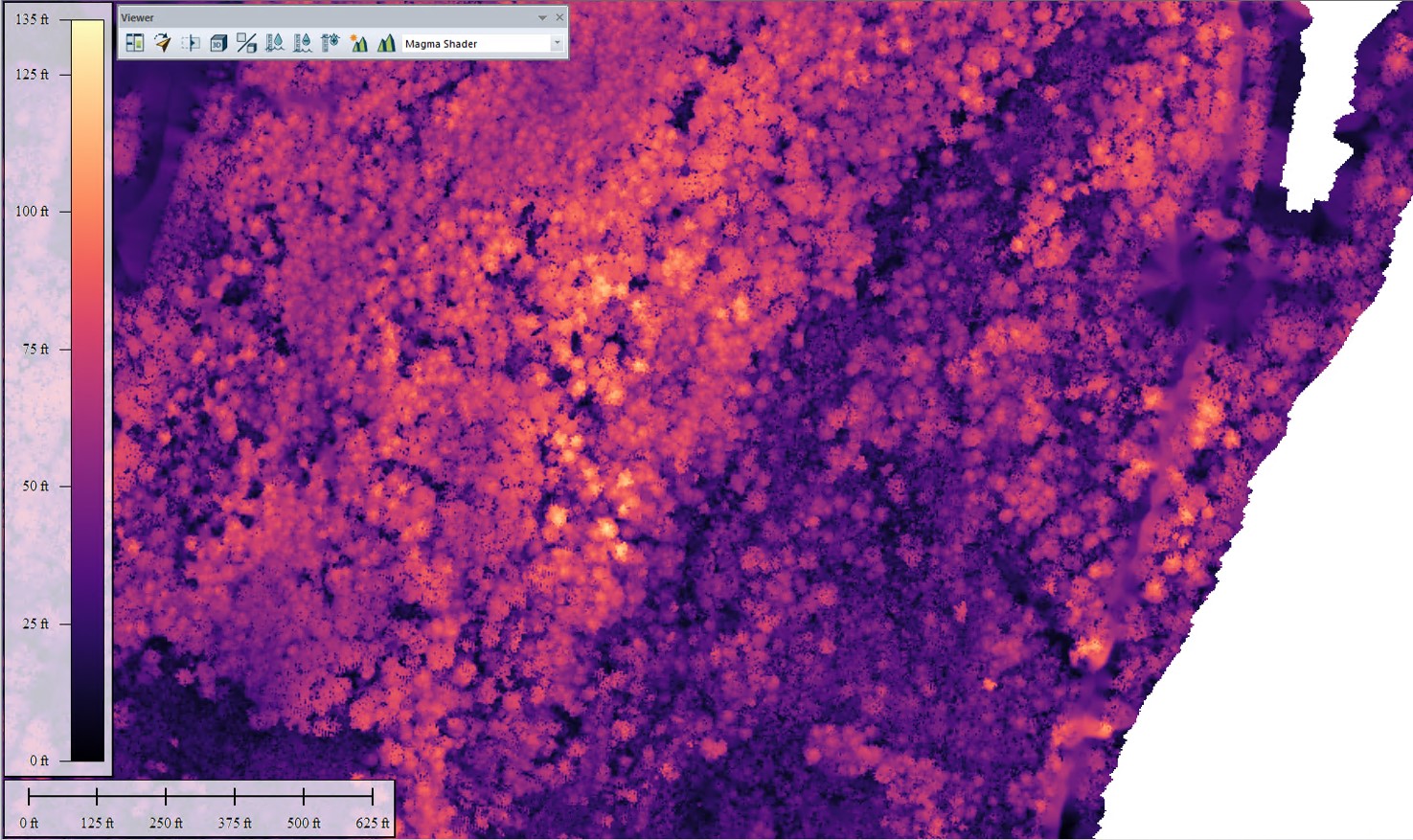 Data from the Canopy Height Model visualized to show the height of the vegetation. (Specifically not the ground)