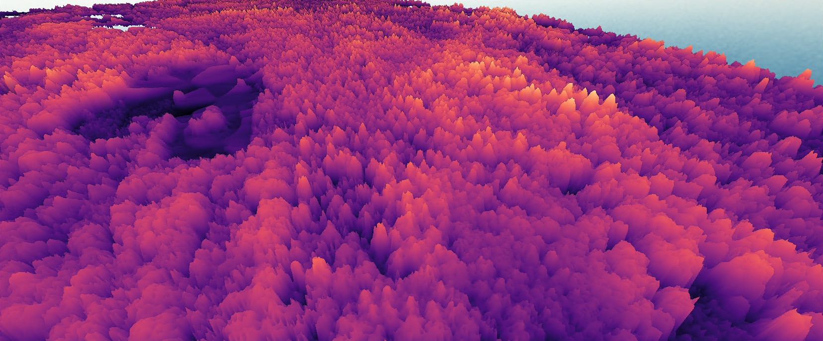 Finished Canopy Height Model visualization.