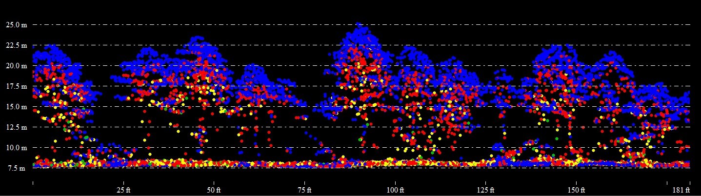 Global Mapper'da görüntülenen ağaçların Lidar sinyalleri 