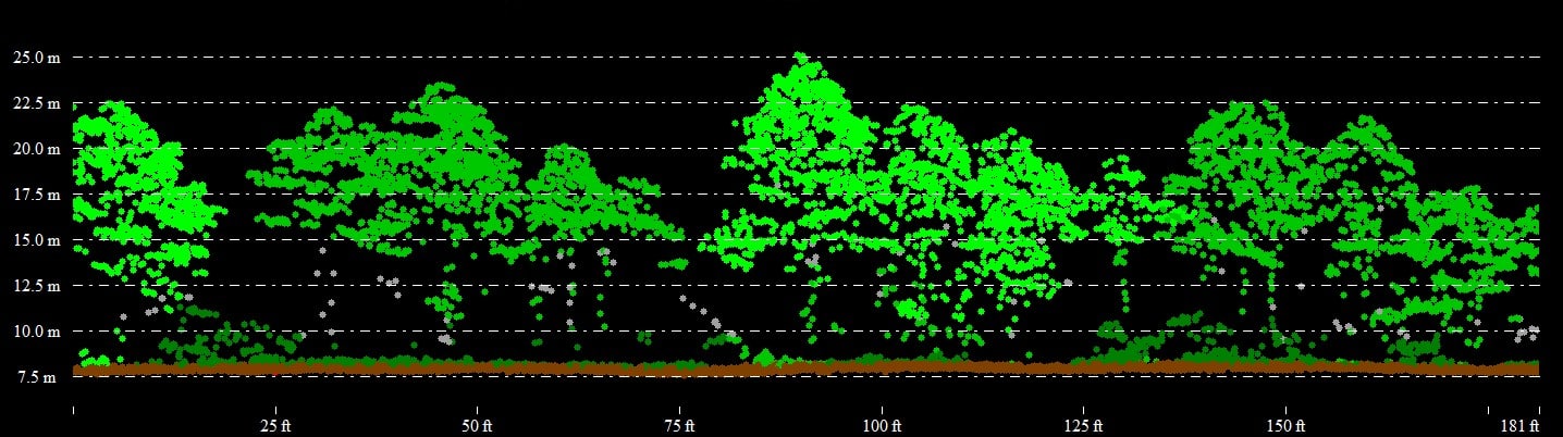 Global Mapper'da görüntülenen sınıflandırılmış lidar nokta bulutu. 