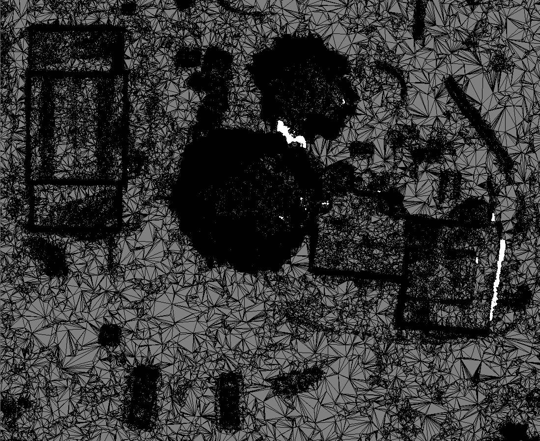 TIN layer (black and white) visualized in Global Mapper