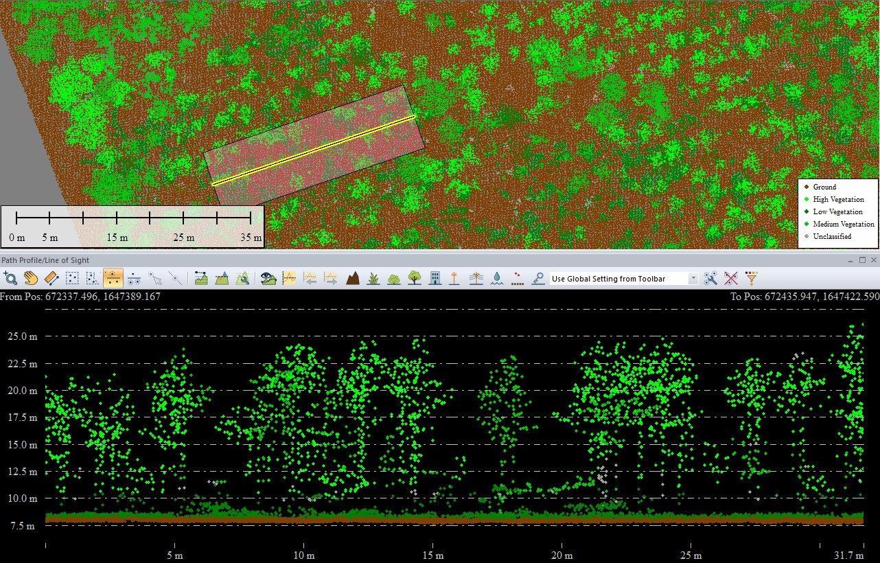 Ground and vegetation points classified in a cloud
