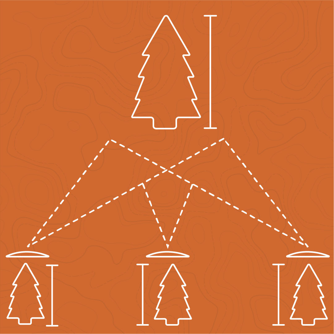 Diagram of depth perception using a tree example