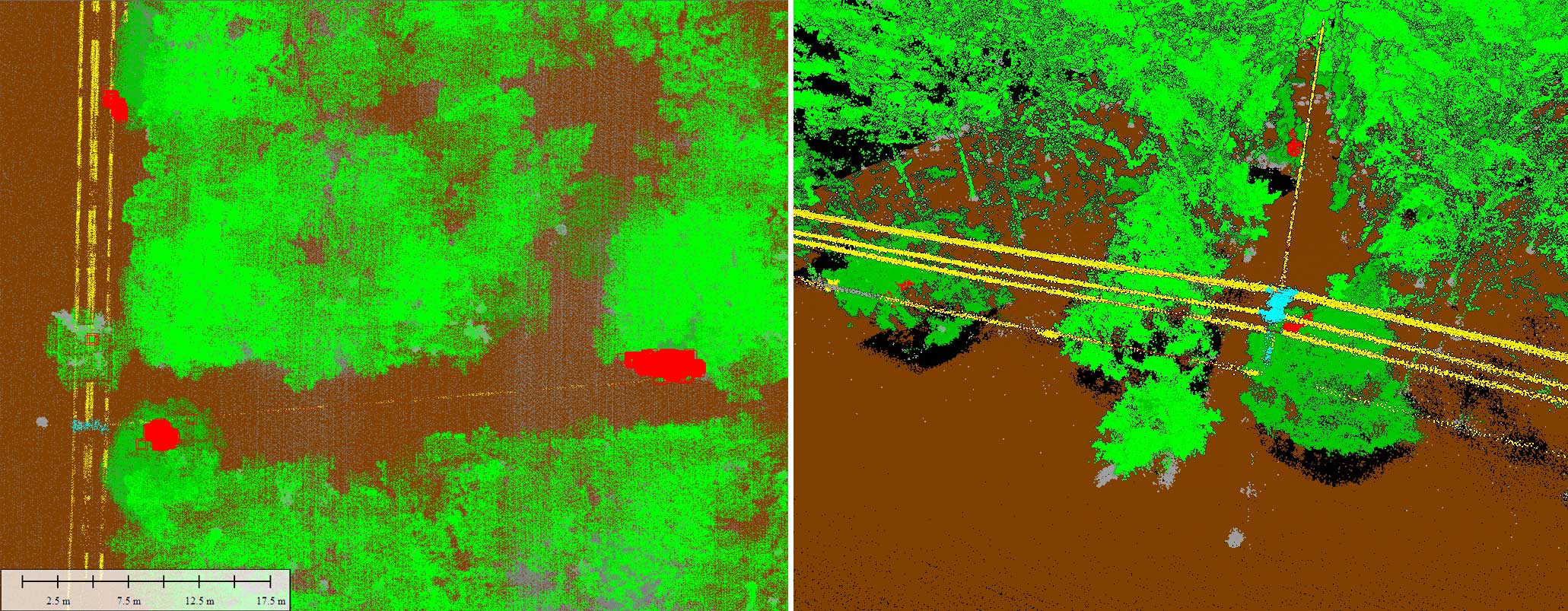 Classified vegetation points in the 2D and 3D view of Global Mapper