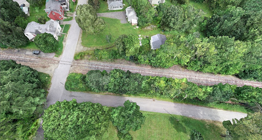 Lidar drone view of trees. There are 6 houses at the top of the view.