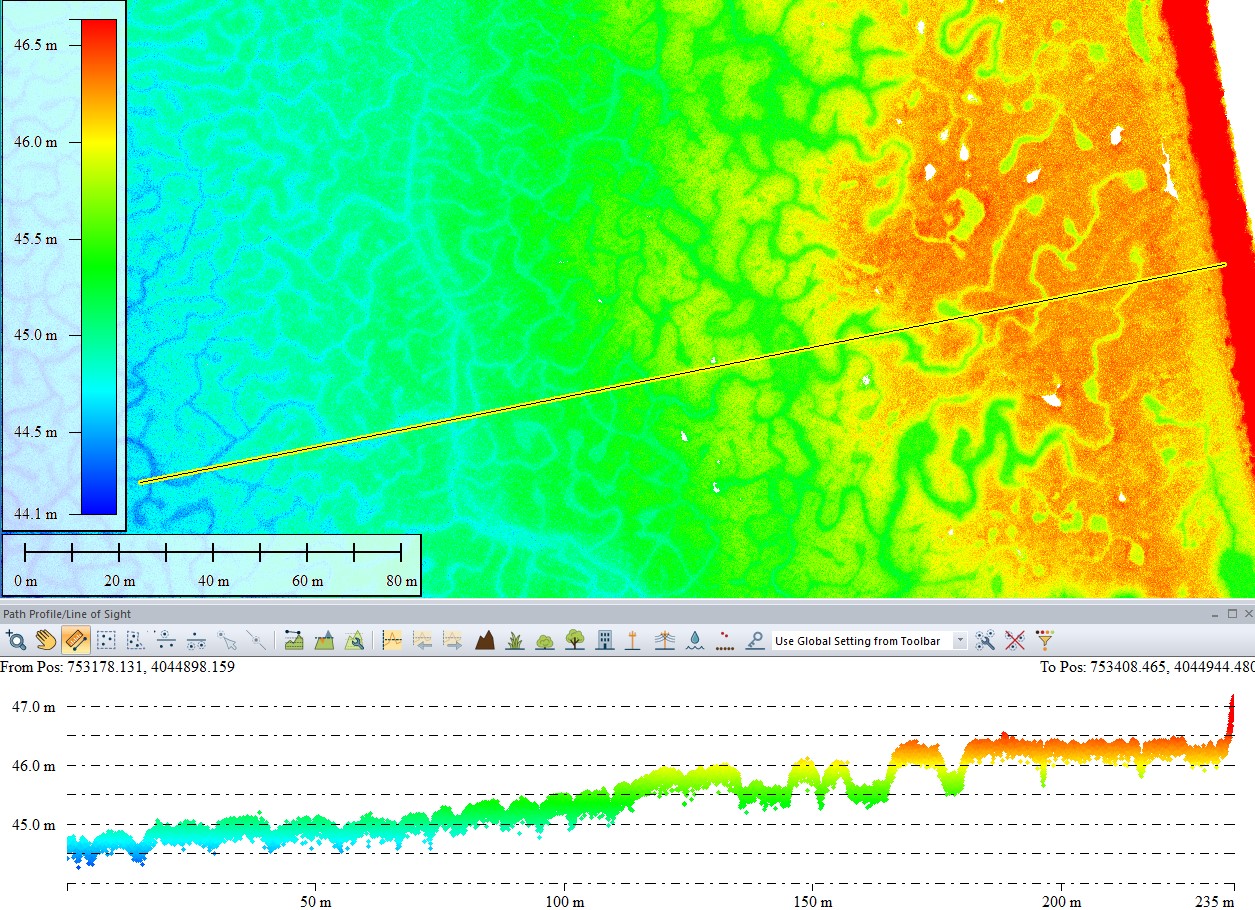 Elevation data of a salt marsh in Global Mapper